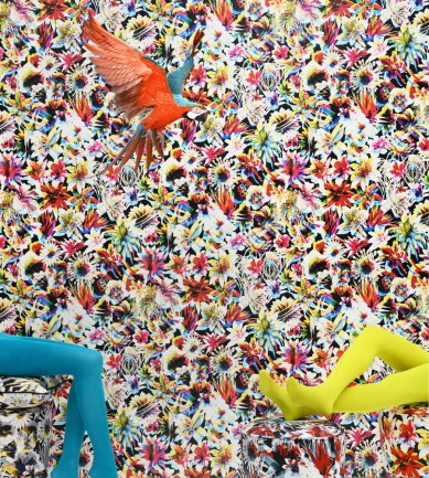 Paisley Home - Jean Paul Gaultier tapéták teljes választéka