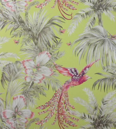 Matthew Williamson Bird Of Paradise W6655-01 tapéta - Paisley Home