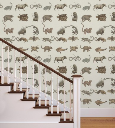 MINDTHEGAP Ark Of Seba design tapéta - Paisley Home
