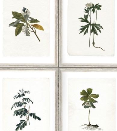 MINDTHEGAP Botany design tapéta - Paisley Home
