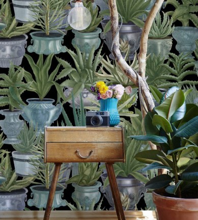 MINDTHEGAP Echeveria design tapéta - Paisley Home