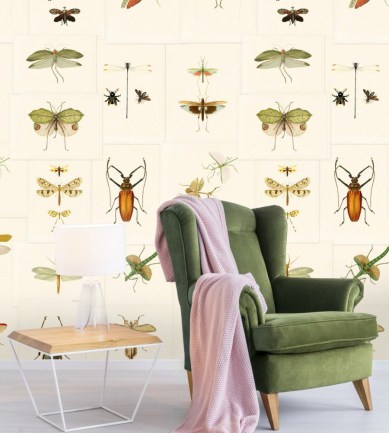 MINDTHEGAP Entomology design tapéta - Paisley Home