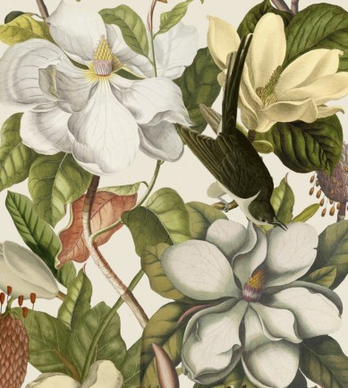 MINDTHEGAP Magnolia Taupe design tapéta - Paisley Home