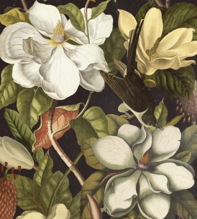 MINDTHEGAP Magnolia design tapéta - Paisley Home