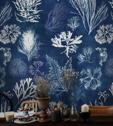 Paisley Home - MindtheGap tapéták teljes választéka