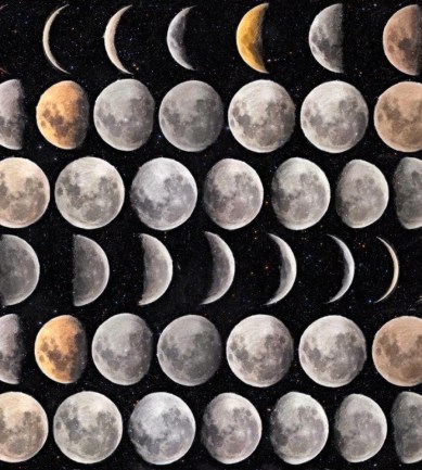 MINDTHEGAP Moon Phases design tapéta - Paisley Home