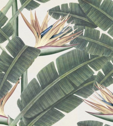 Mind the Gap Tropical Bloom design tapéta - Paisley Home