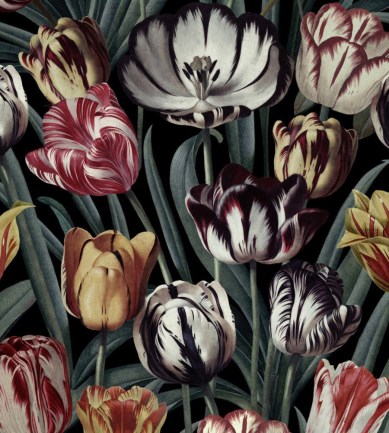 MINDTHEGAP Tulipa Dark design tapéta - Paisley Home