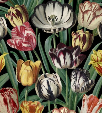MINDTHEGAP Tulipa design tapéta - Paisley Home