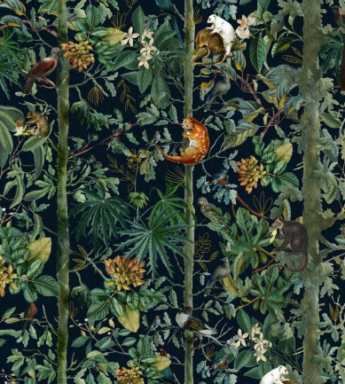 Mind The Gap Wildlife Of Papua WP20527 tapéta