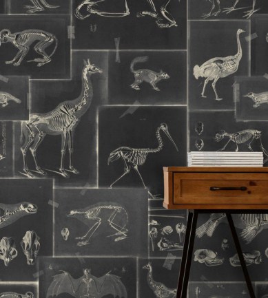 MINDTHEGAP Zooarchaeology Anthracite design tapéta - Paisley Home