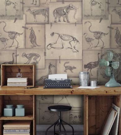MINDTHEGAP Zooarchaeology design tapéta - Paisley Home