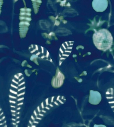 Nobilis Daiquiri  tapéta - Paisley Home