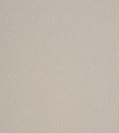 Nobilis Raku EDM16 tapéta