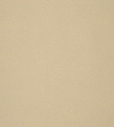 Nobilis Raku EDM19 tapéta