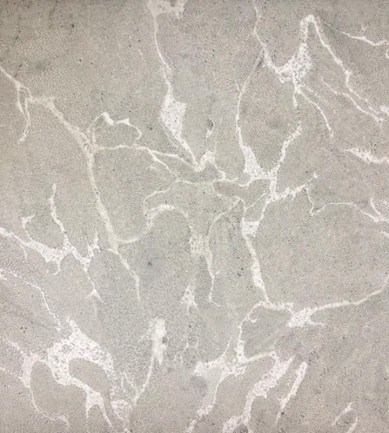 Nobilis Paros  tapéta - Paisley Home