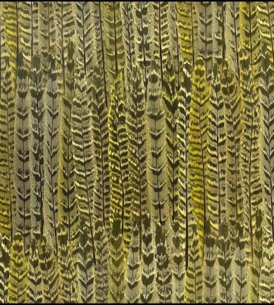 Nobilis Plume  tapéta - Paisley Home