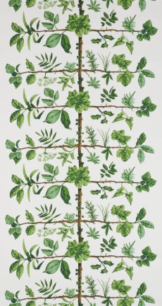 Pierre Frey FP169001 Espalier Prairie luxus tapéta