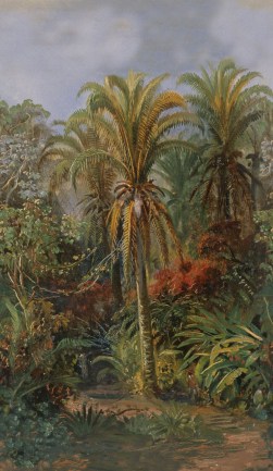 Pierre Frey FP604001 Monteverde Jungle luxus tapéta
