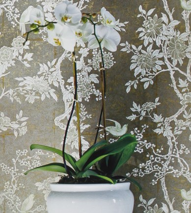Ralph Lauren Marlowe Floral Dove tapéta - Paisley Home
