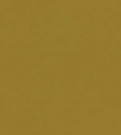 Rubelli Ombra Oro textil