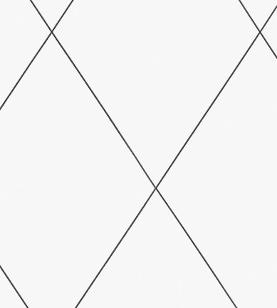 Sandberg Robin Black tapéta - Paisley Home