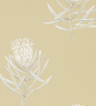 Sanderson Protea Flower Sepia / Champagne tapéta - Paisley Home