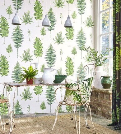 Paisley Home - Sanderson tapéták teljes választéka