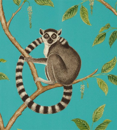 Sanderson Ringtailed Lemur Teal tapéta