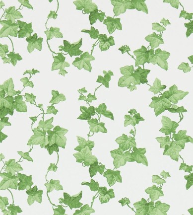 Sanderson Hedera Green tapéta - Paisley Home