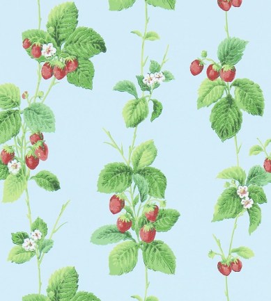 Sanderson Summer Strawberries Strawberry/Sky tapéta - Paisley Home