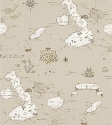 Sanderson Galapagos Pewter tapéta - Paisley Home