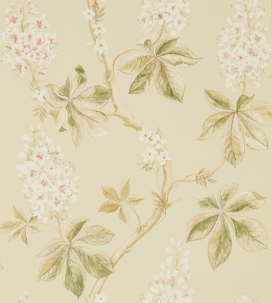 Sanderson Chestnut Tree Coral/Bayleaf tapéta - Paisley Home