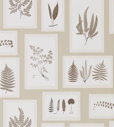 Sanderson Fern Gallery Linen/Sepia tapéta - Paisley Home