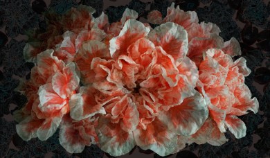 Paisley Home - Tecnografica exkluzív tapéták és falpanelek teljes választéka