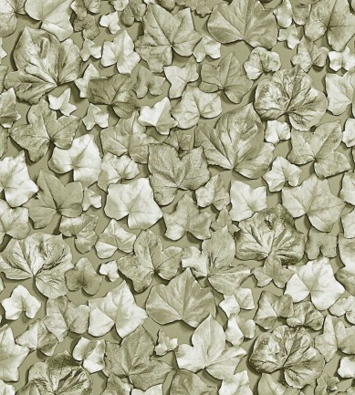 Zoffany Ivy Leaf Gold tapéta - Paisley Home